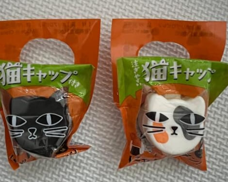 ペットボトルのキャップ