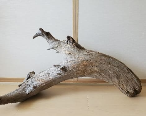 流木